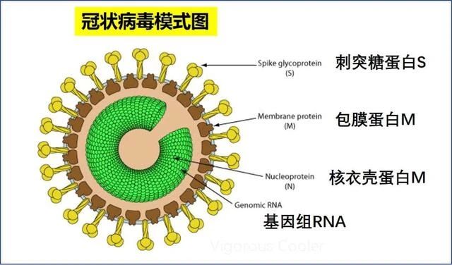 5e8b08384329bf11941e38febc3bb133.jpg